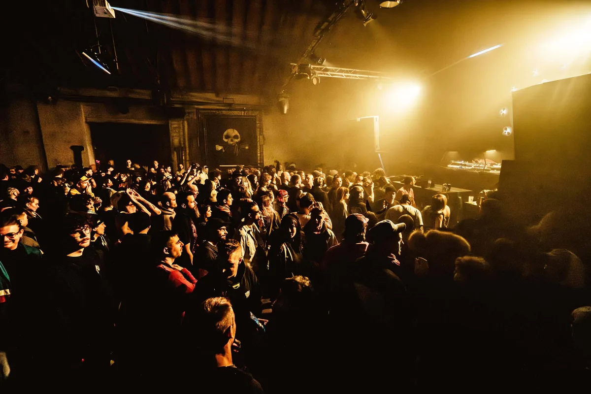 The crowd at a party