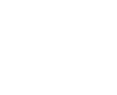 Logo Oldschool Waves blanc Officiel sans fond